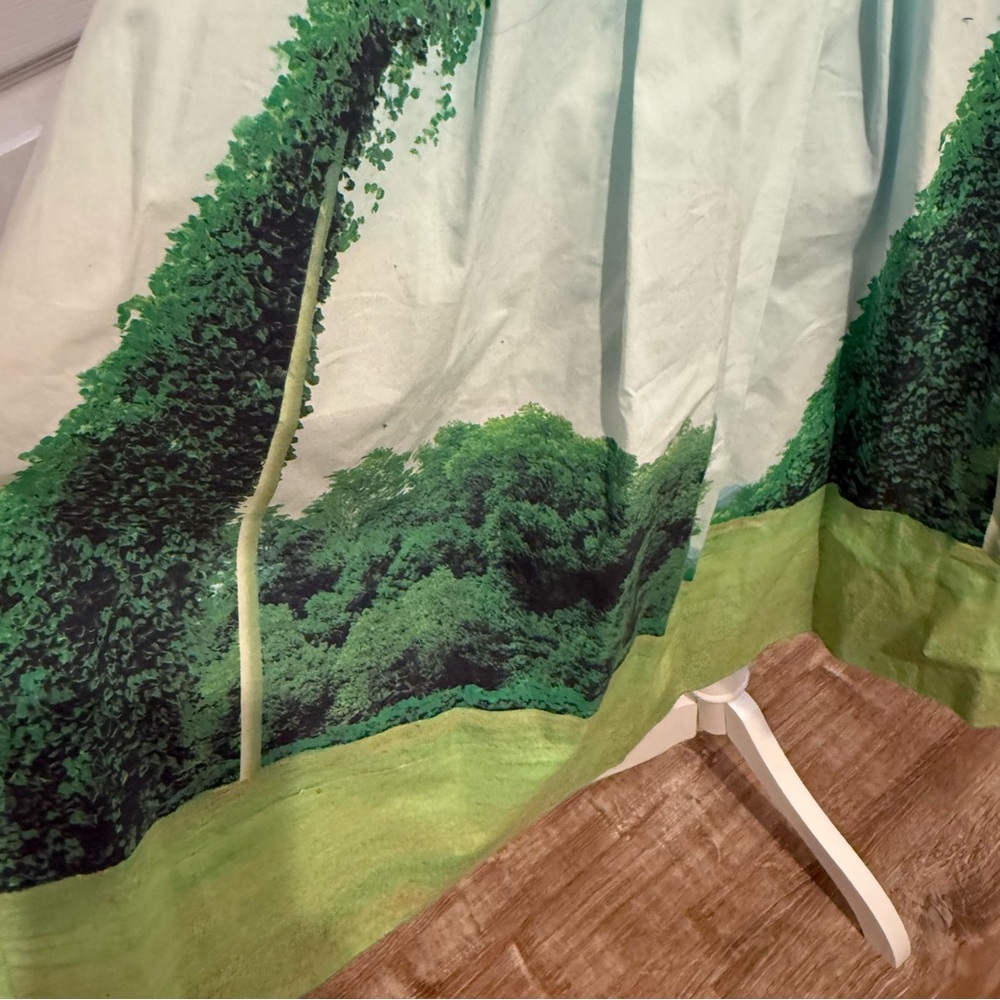 Anthropologie, Sandra Ball Photography Stylish Green and White Skirt, Size 8 - Picture 6 of 14